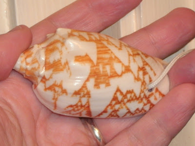 Sierpinski triangle pattern in seashell
